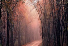 广州恒大全取三分，领跑积分榜