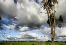 近期足球比赛的赛事预告及分析