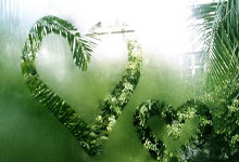 伯恩茅斯客场一球小胜，脱离降级区