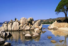 西班牙女足比赛中的语言冲突：团队内部的风暴与挣扎