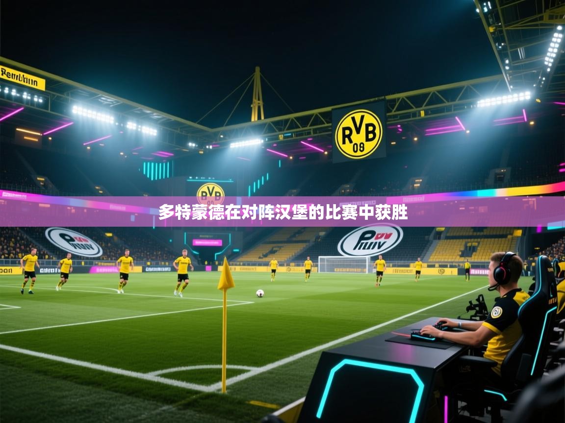 多特蒙德在对阵汉堡的比赛中获胜  第2张
