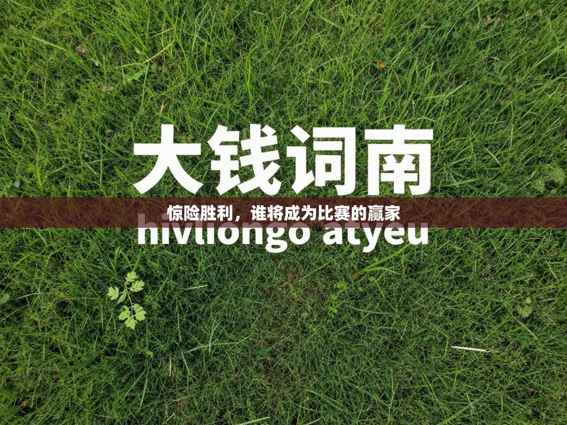 惊险胜利,谁将成为比赛的赢家 第1张